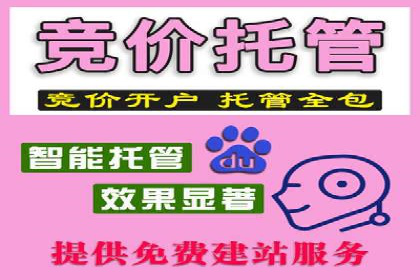 某某企业SEM营销案例解析：SEM在零售行业的成功运用